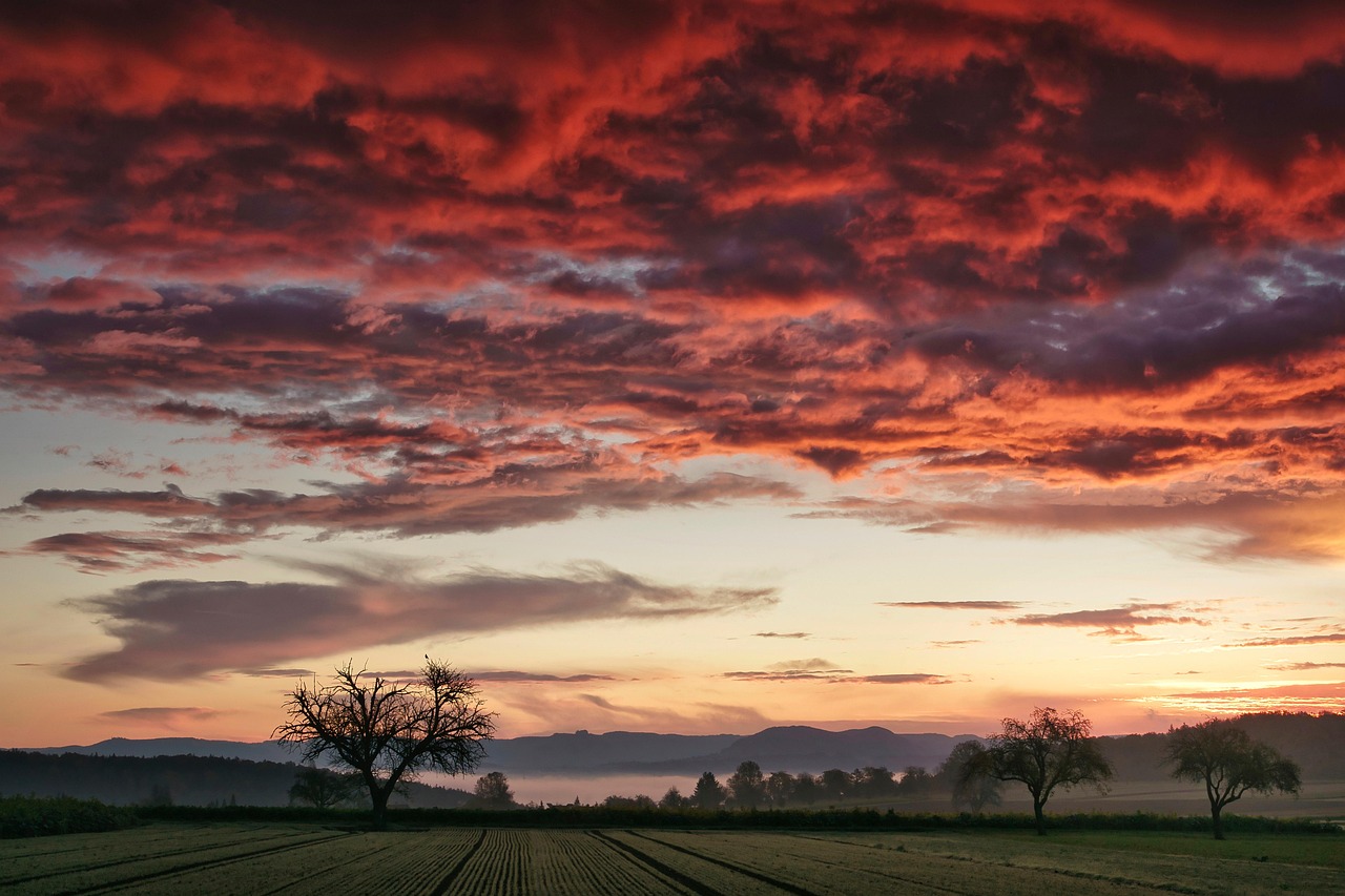 sunrise, field, trees, mystical, fog, landscape, neckar, red, high neuffen, nature, castle